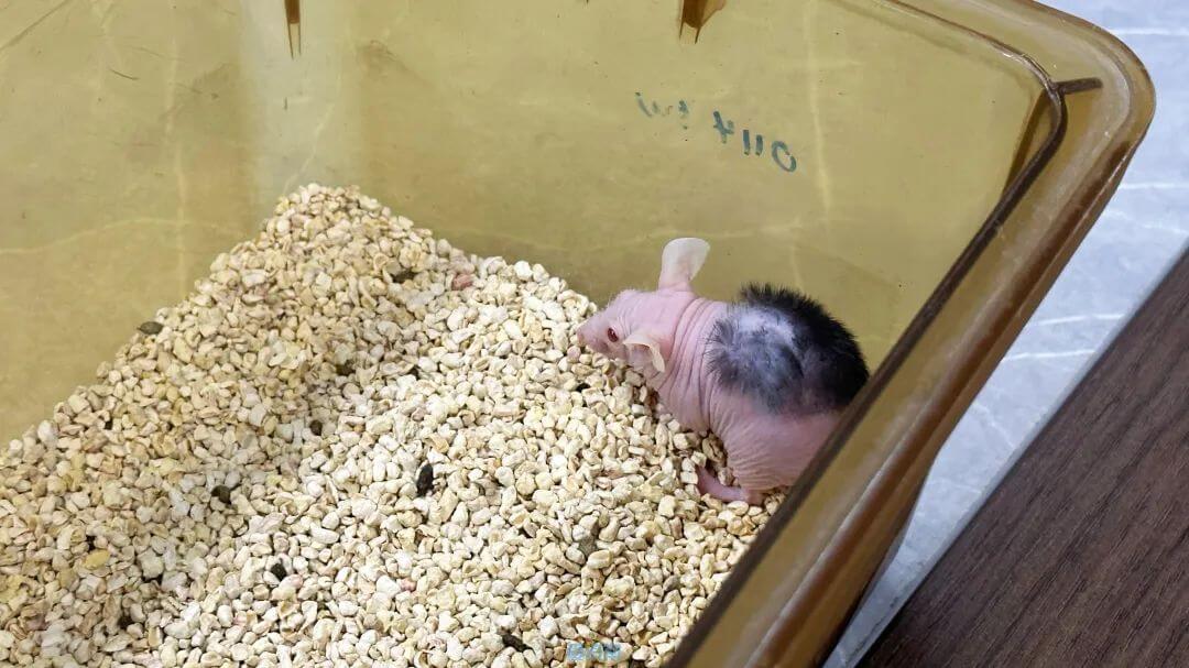 1705980040627.jpg 5.jpg