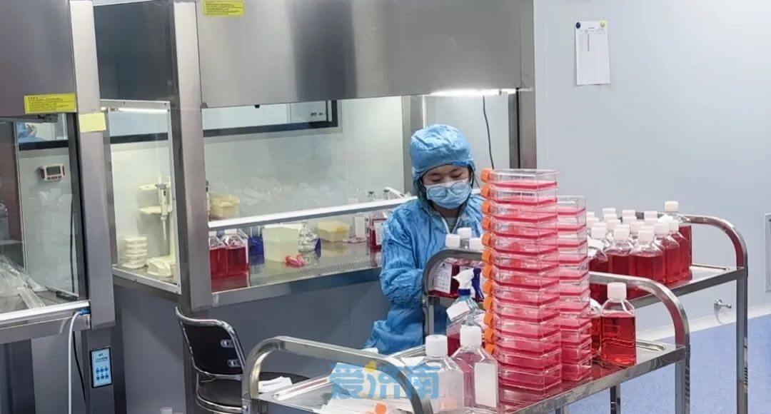 1705980046183.jpg 6.jpg