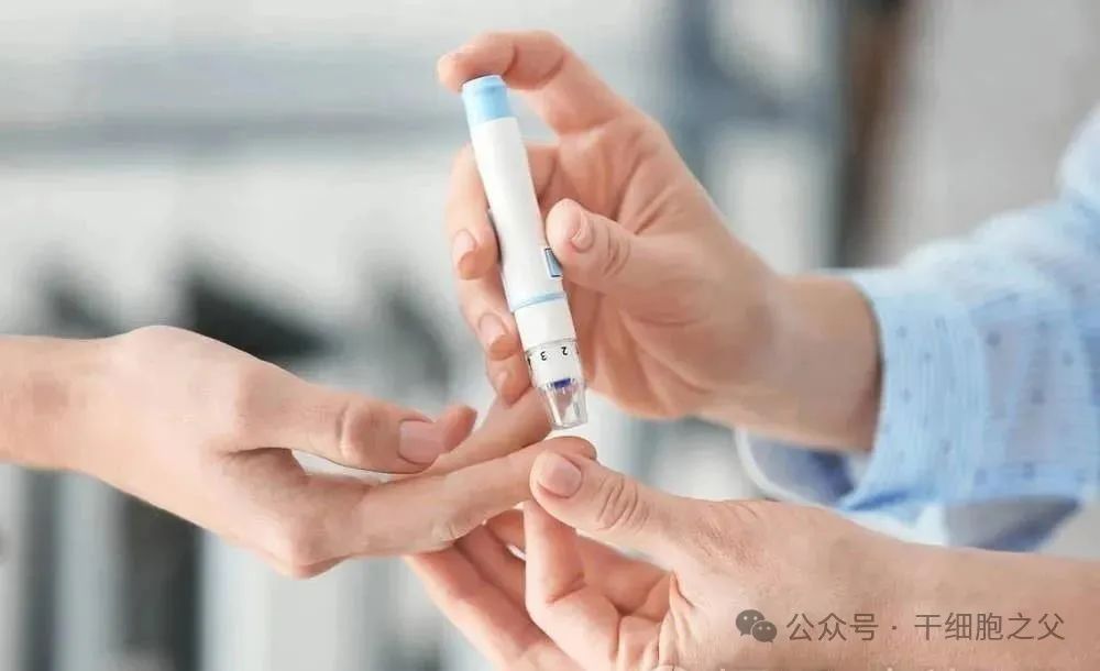 1706440484184.jpg 1.jpg