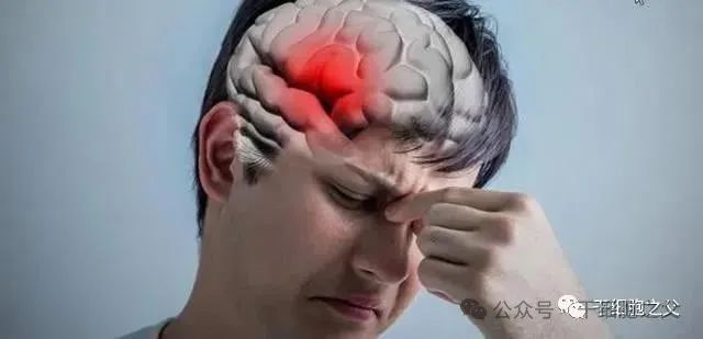 1706440616819.jpg 2.jpg