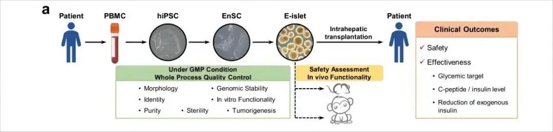 1715234746238.jpg 3.jpg