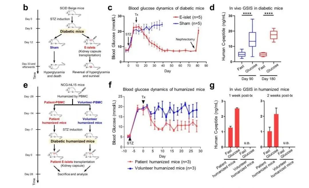 1715234758159.jpg 4.jpg