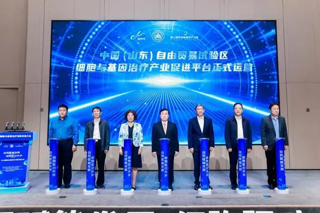 1729233149161.png 1.png