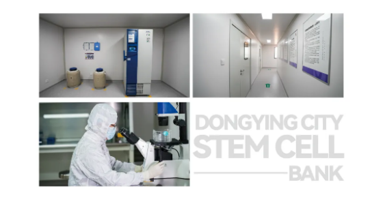 1729671807949.png 4.png