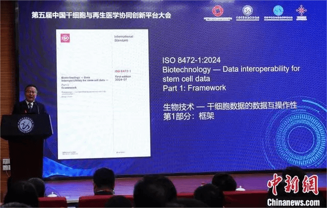 1730272730347.png 1 (1).png