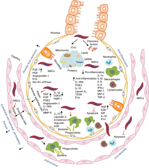 1730703570272.png 4.png