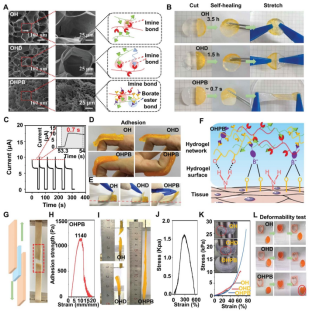 1740626143404.png 2.png