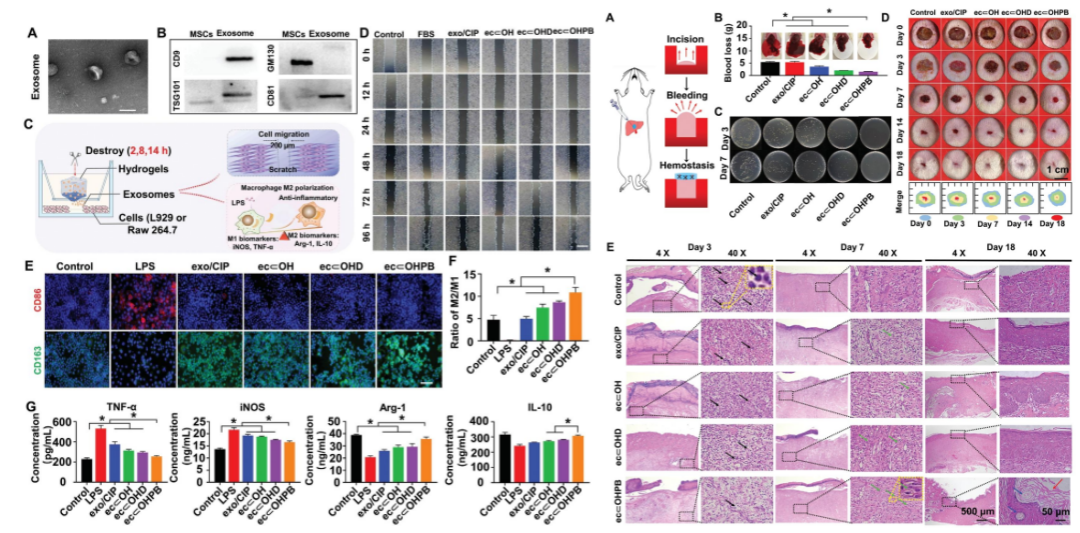 1740626152941.png 3.png